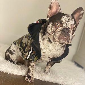 Doggy bape pattern windbreaker
